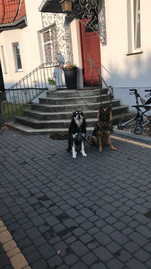 Agnieszkas Pension Havelberg Buitenkant foto